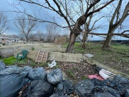 Buona Destra Sesto: “Riqualificare l’area del vecchio canile” Canile