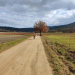 cicloescursione Monteriggioni