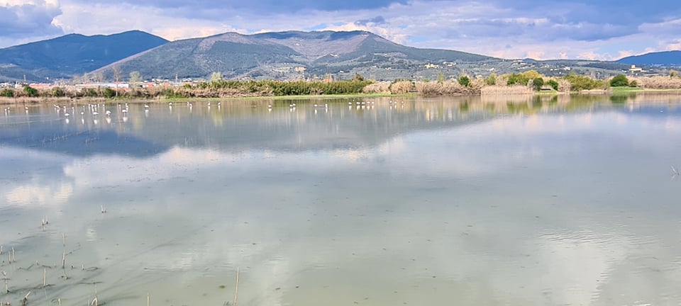 Lago di Peretola