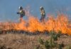 Incendi boschivi: dal 13 giugno stop a fuochi e abbruciamenti incendio