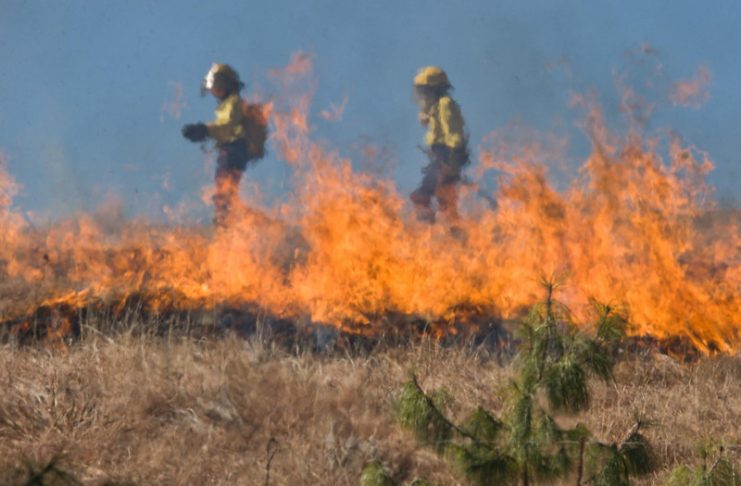 Incendi boschivi, dal 13 giugno stop a fuochi e abbruciamenti su tutto territorio regionale incendio