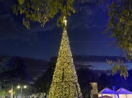 Albero di Natale