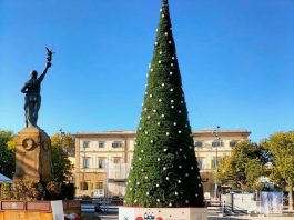 Il Natale a Sesto Fiorentino: gli eventi in programma Albero di Natale