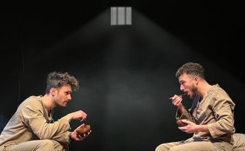 Il bacio della donna Ragno