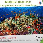 Barriera corallina