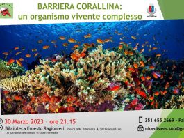Alla scoperta della barriera corallina alla biblioteca Ragionieri Barriera corallina