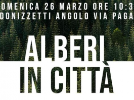 Il binario 1
