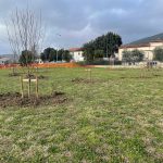 Nuovi alberi Parco degli etruschi