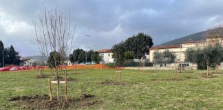 Nuovi alberi Parco degli etruschi