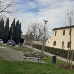 nuovi_alberi_3