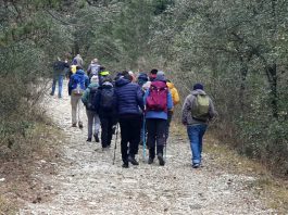 Sentieri della Libertà