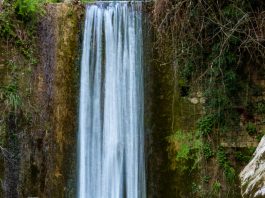 cascata_treponti-1