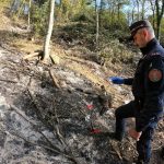 Carabinieri forestali