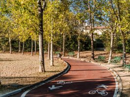Pista dell'Anello Sesto Fiorentino
