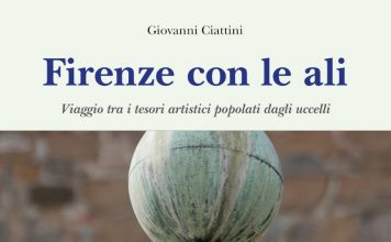 Firenze con le ali, copertina