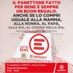 Panettoni Prato 8