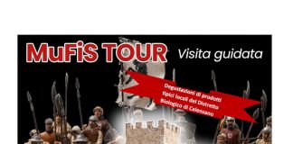 Locandina MuFiS TOUR