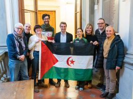 Falchi-Falchini-Saharawi