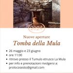 locandina la Mula