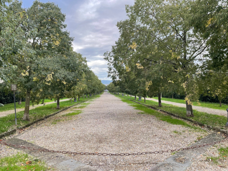 Il viottolone di Villa reale a Castello