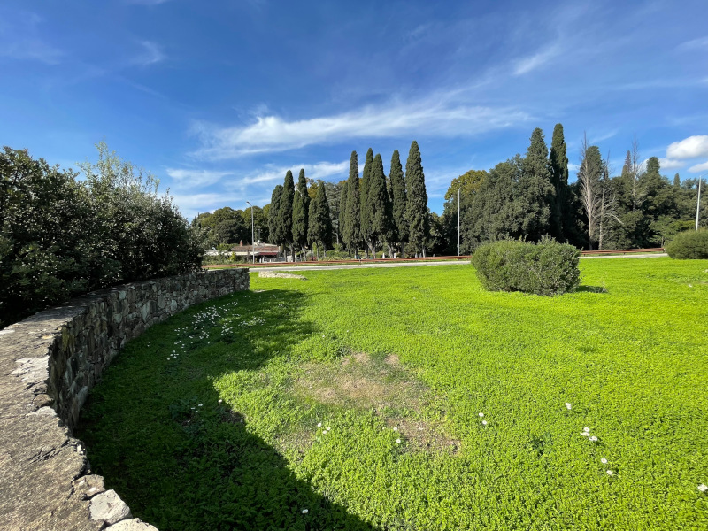 Parco di Villa Stanley. visto dal Parco degli Etruschijpg