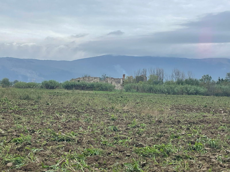 Rovine della fattoria del podeerre Querciola