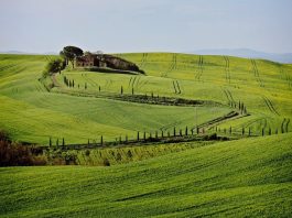 Toscana