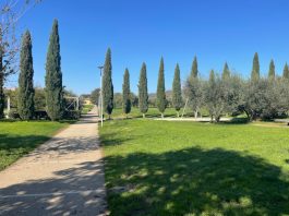 Sesto: alla scoperta degli “erbi boni” nel Parco dell’Oliveta Parco dell'Oliveta