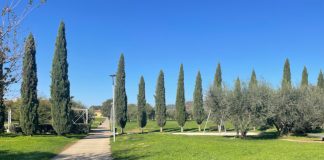 Parco dell'Oliveta