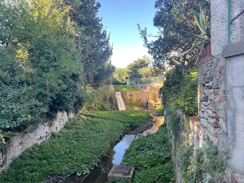 Rimaggio da via del Torrente