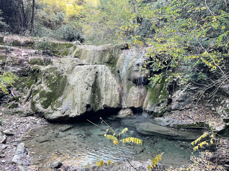 Torrente Zambra