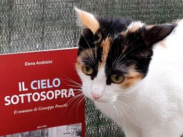 una narratrice particolare