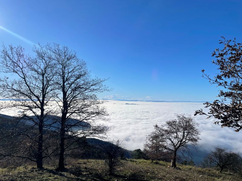 Sesto avvolta nella nebbia