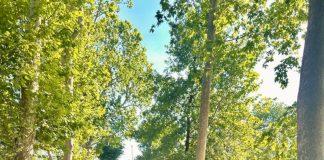 Parco del Neto