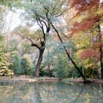 Parco del Neto