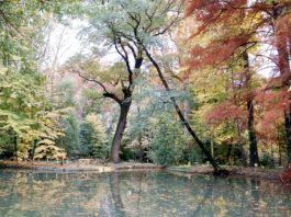 Parco del Neto