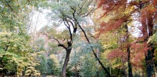 Parco del Neto