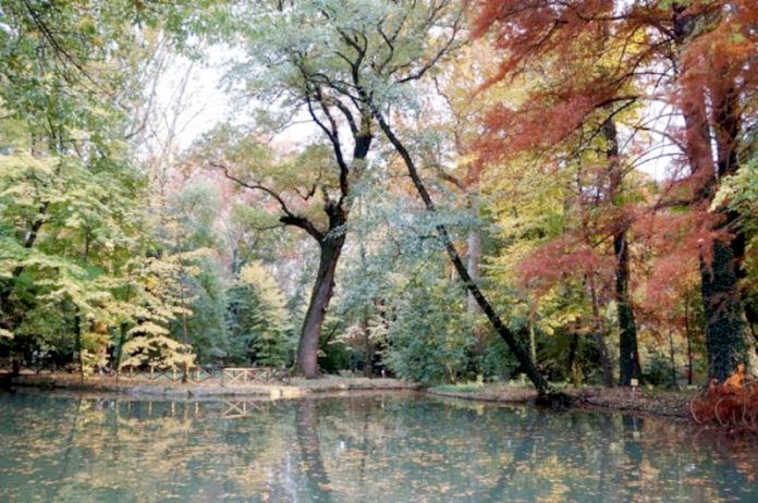 Parco del Neto