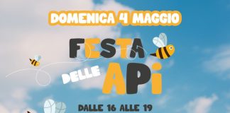 Festa delle api