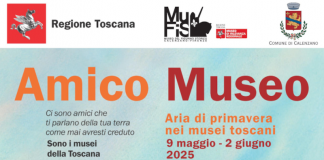 Locandina Mufis