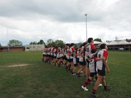 Sesto Rugby