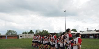 Sesto Rugby