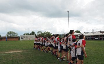 Sesto Rugby