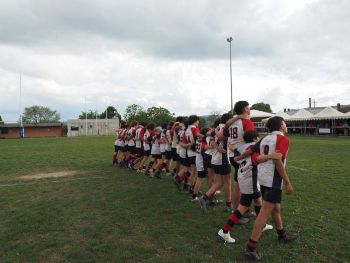 Sesto Rugby