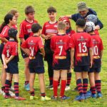 Sesto Rugby