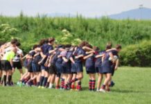Sesto Rugby