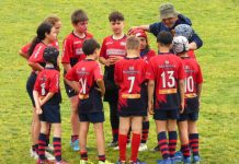 Sesto Rugby