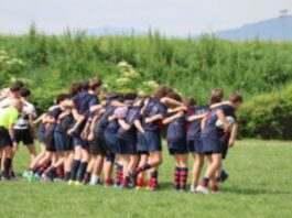 Sesto Rugby