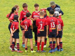 Sesto Rugby