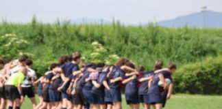 Sesto Rugby